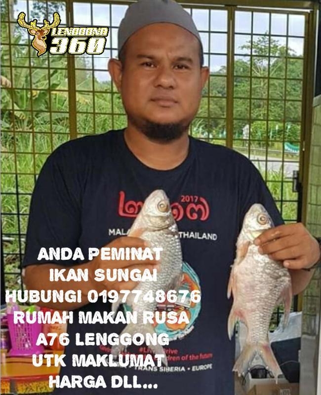 Branda Kampung Sumpitan Lenggong Tiada Sungai Hotel Kampong Ulu Jepai Bagian luar foto