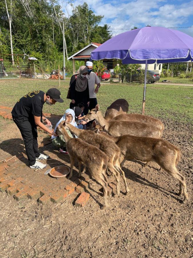 Branda Kampung Sumpitan Lenggong Tiada Sungai Hotel Kampong Ulu Jepai Bagian luar foto