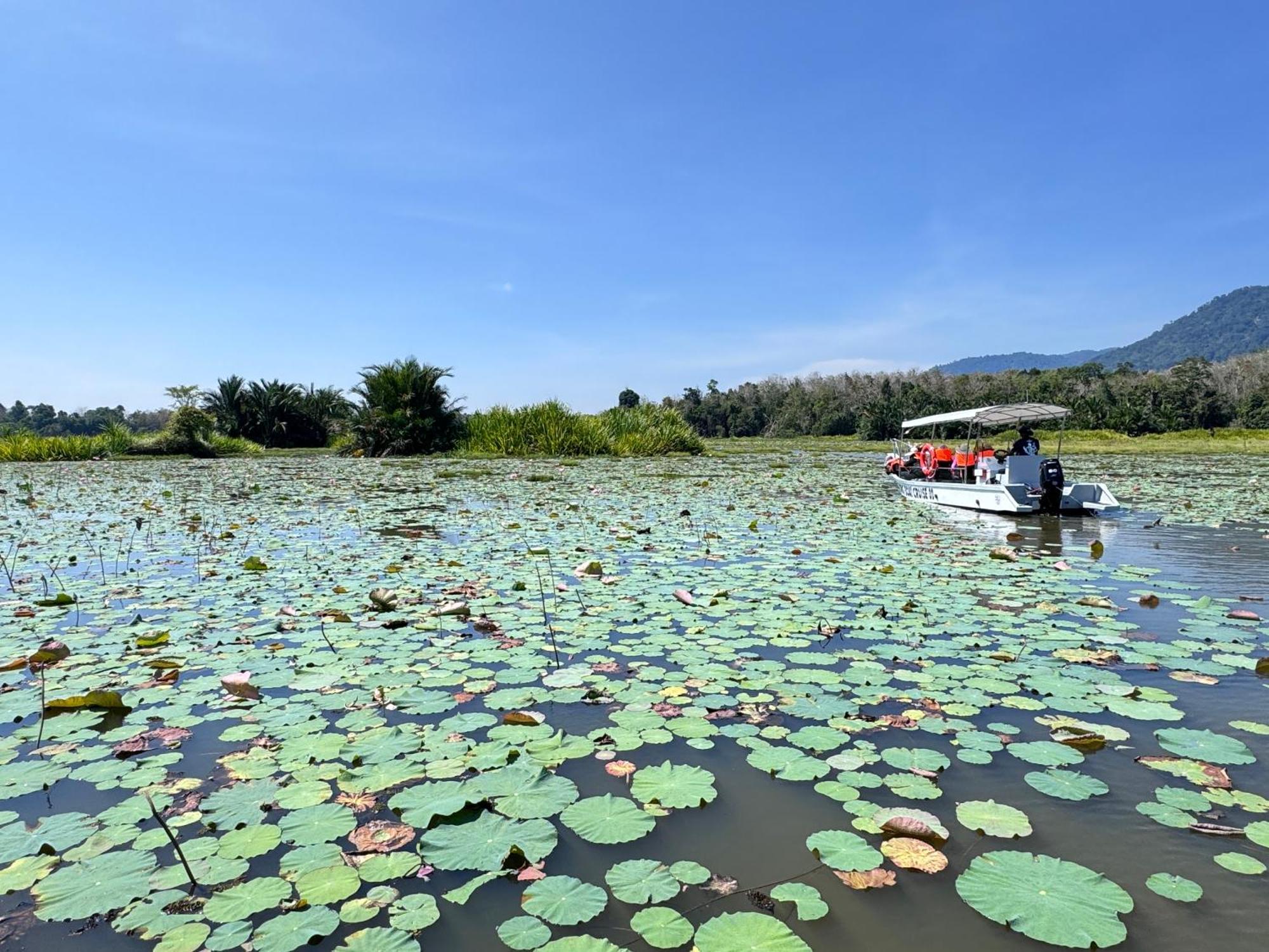 Branda Kampung Sumpitan Lenggong Tiada Sungai Hotel Kampong Ulu Jepai Bagian luar foto