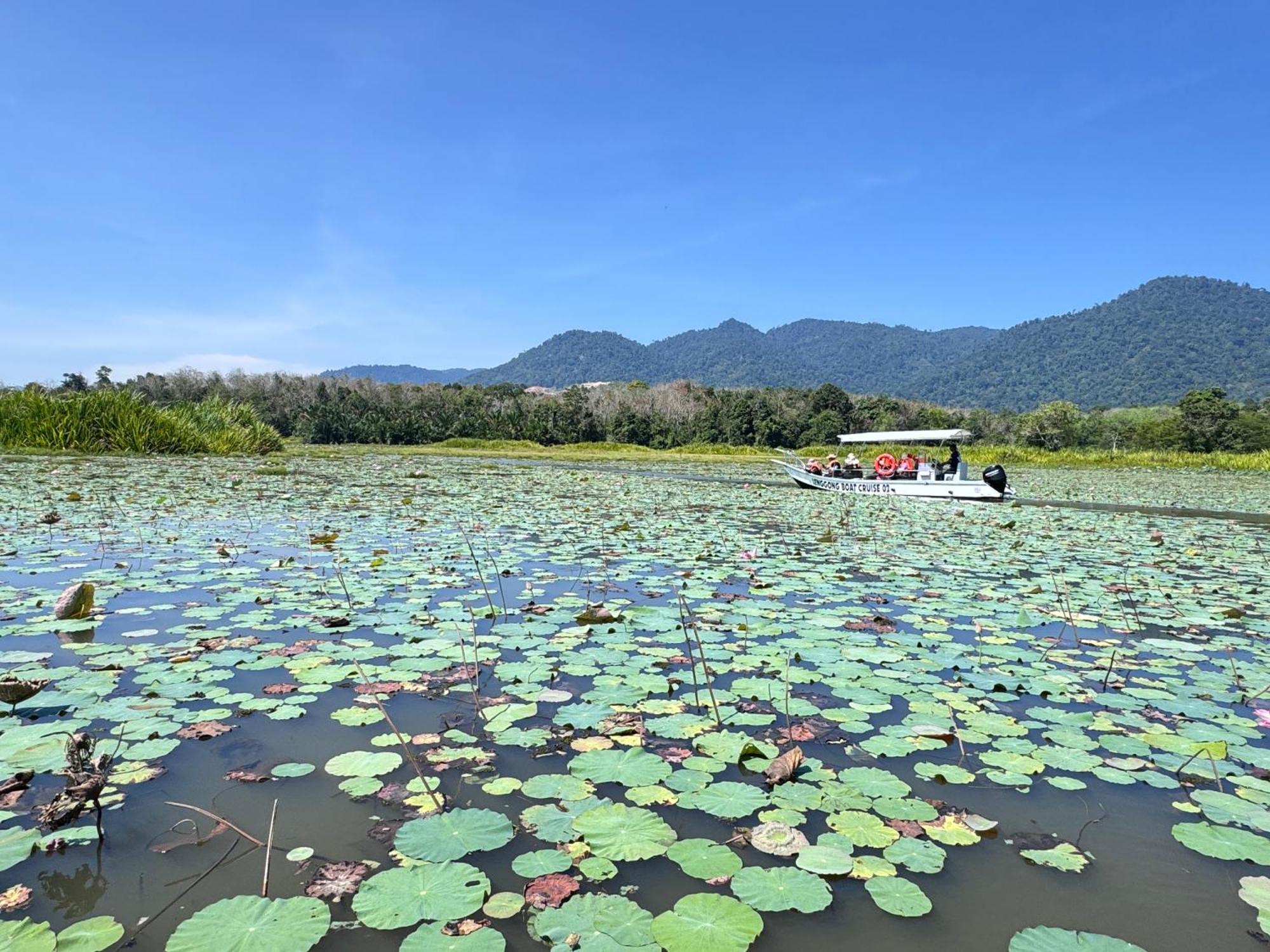 Branda Kampung Sumpitan Lenggong Tiada Sungai Hotel Kampong Ulu Jepai Bagian luar foto